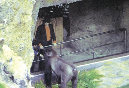 Concierto de Michael Jackson en Tenerife, en 1993