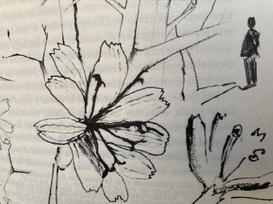 Unamuno, por Ana Beltrá - Aislados